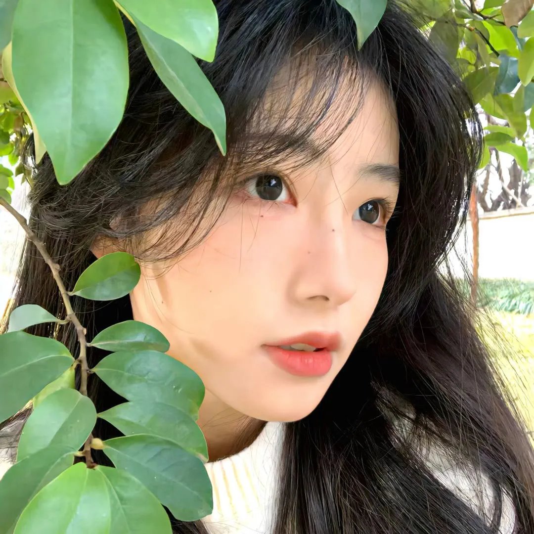 白色死亡